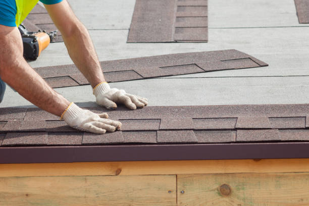 Best Asphalt Shingle Roofing  in Tremont, PA